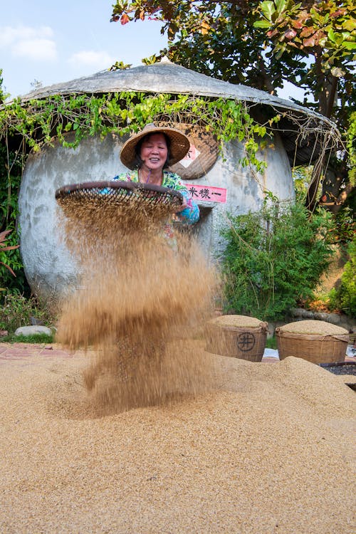 곡물, 마을, 여성의 무료 스톡 사진