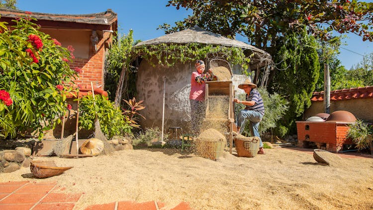 People Working With Grain