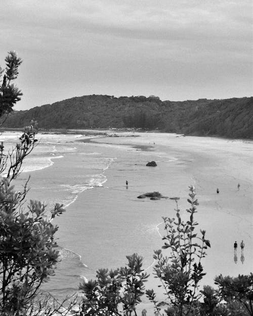 Sandy Beach in Black and White