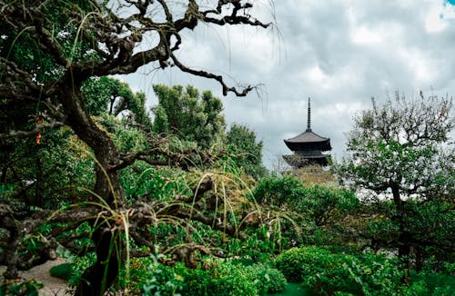 View of a Garden and a Traditional Japanese Temple 