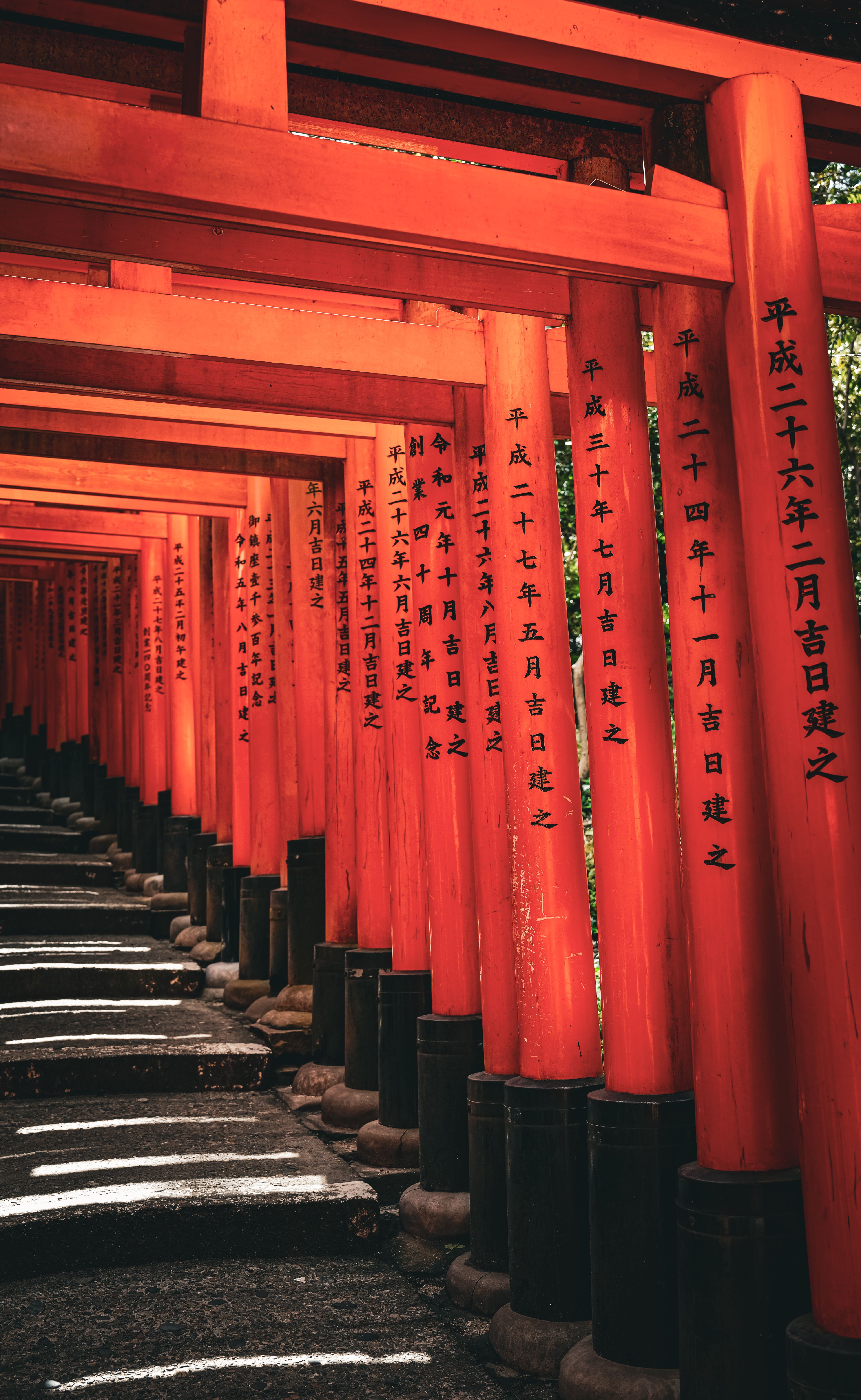 Senbon Torii Photos, Download The BEST Free Senbon Torii Stock Photos ...