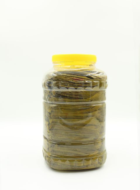 Large plastic jar filled with stacked, preserved leaves on a white background. - Why Proper Storage is Crucial for Dry Fruits