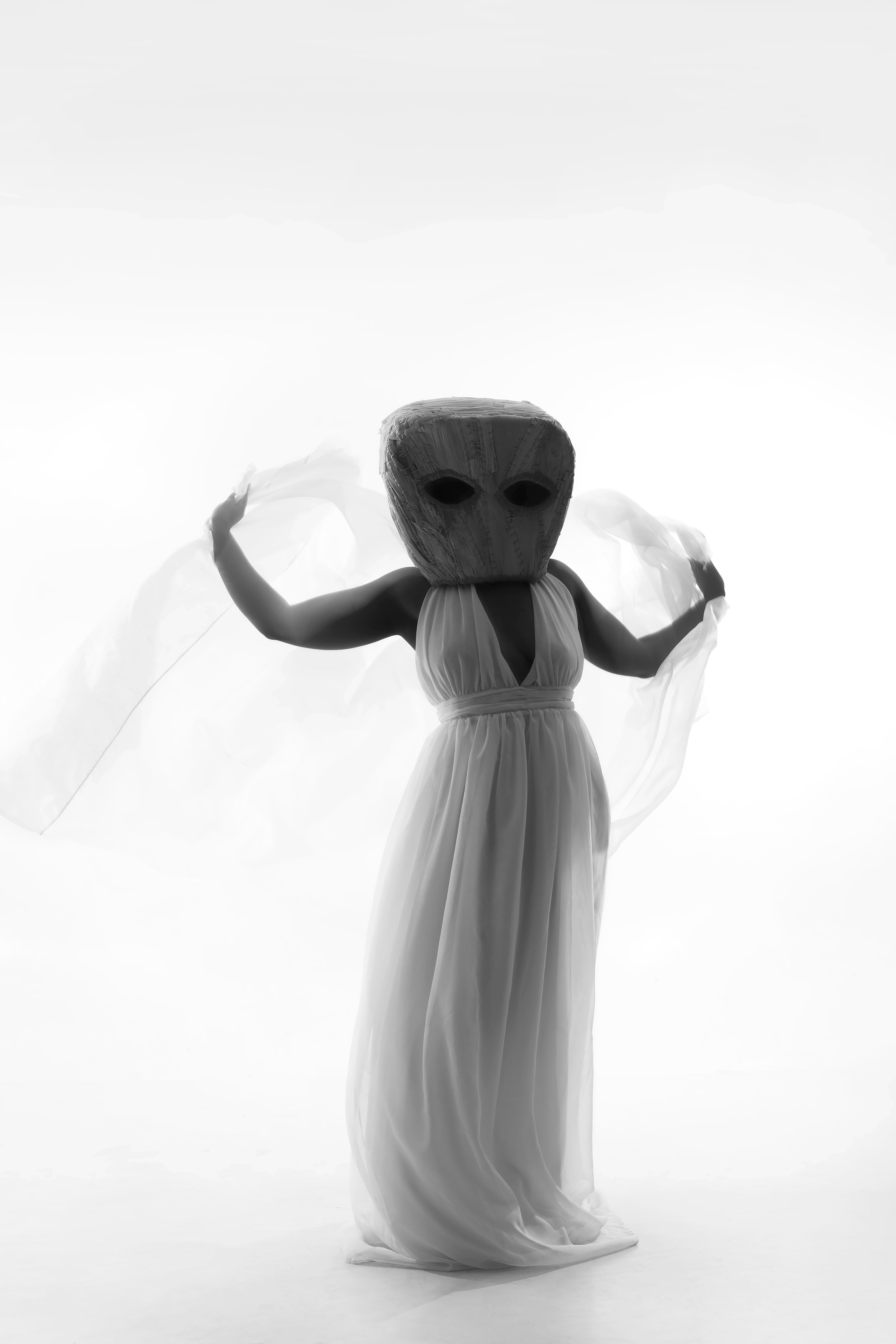 A dramatic black and white portrait of a woman in a flowing dress and face disguise, exuding elegance and mystery.