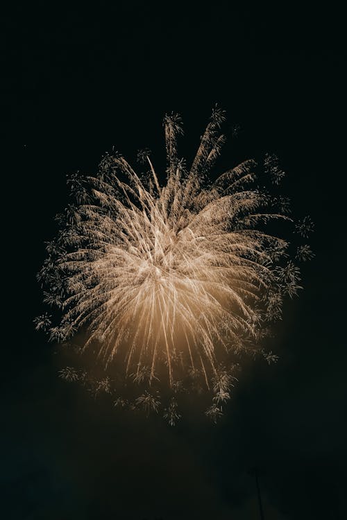 Fireworks in the Night Sky