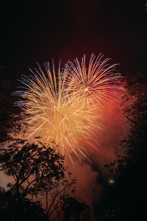 Photos gratuites de arbres, célébration, feux d'artifice