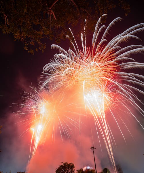 View of Fireworks in the Night Sky