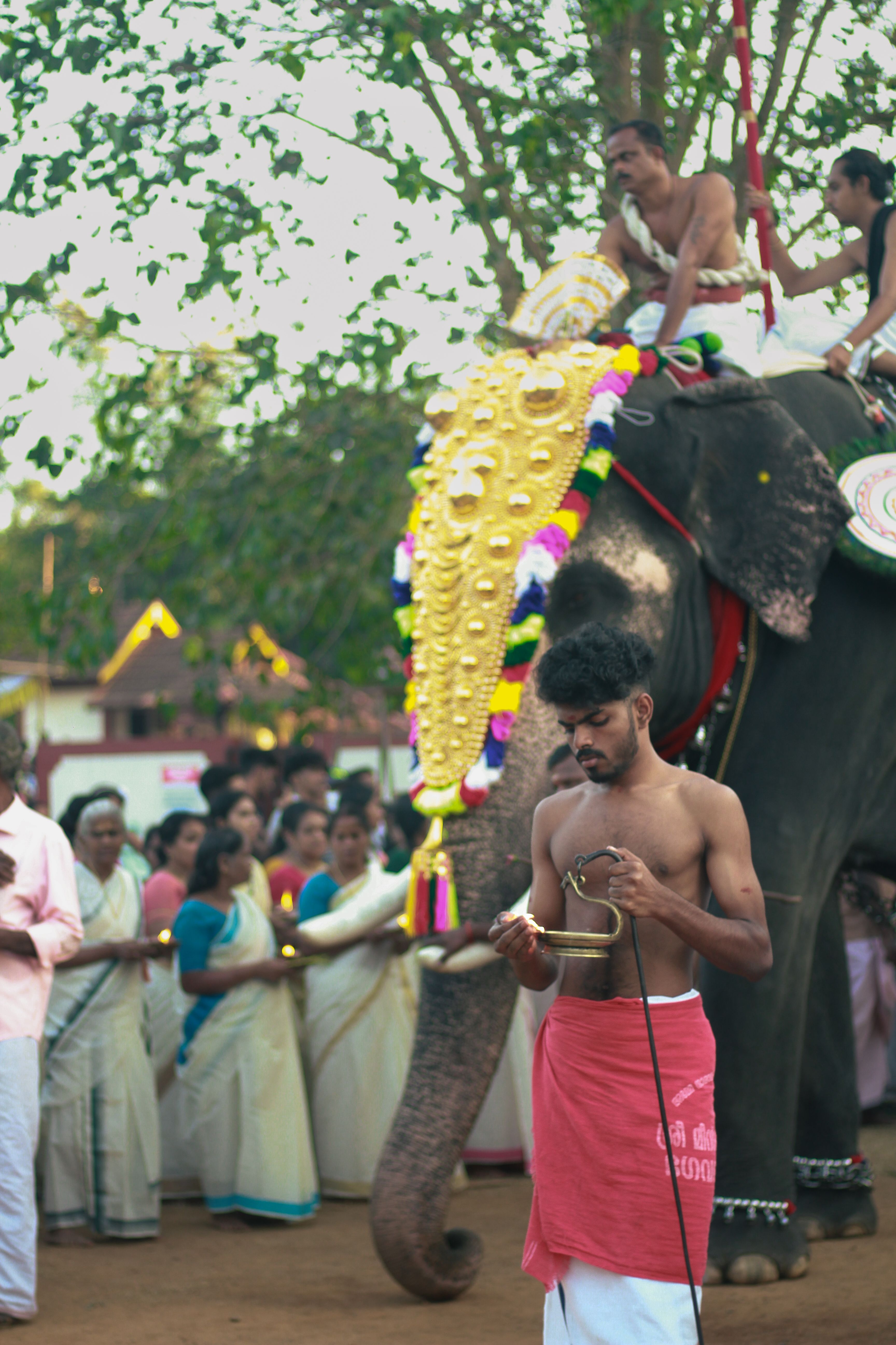 A vibrant festival in Kerala featuring a decorated elephant and traditional attire.