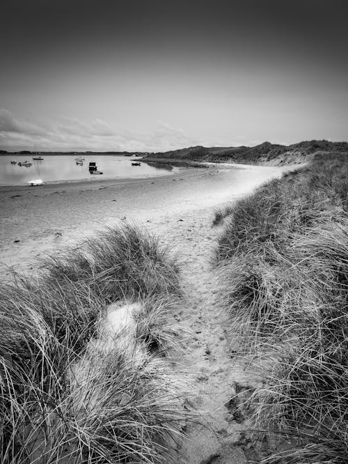 모래, 모래 언덕, 바다의 무료 스톡 사진