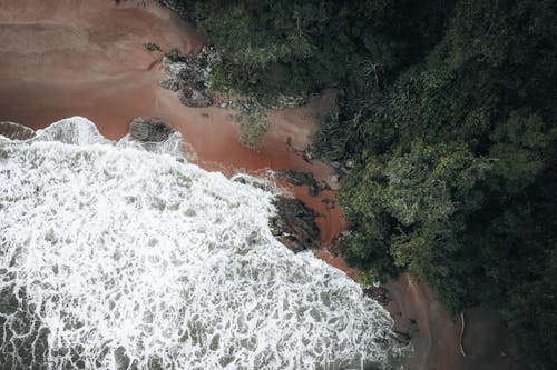 Wave on Beach on Ocean Shore in Birds Eye View