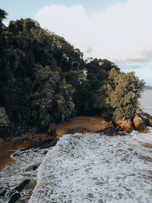 คลังภาพถ่ายฟรี ของ ชายทะเล, ชายหาด, ทะเล