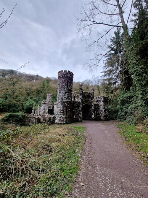 Základová fotografie zdarma na téma ballysaggartmore věže, cestovní ruch, gotická architektura