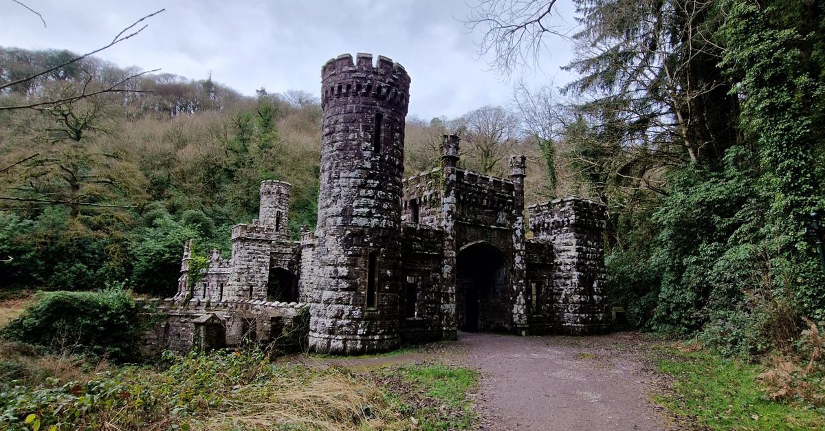 Ecclesiastical enclosure in Ballynoe (duhallow By., Kilbrin Par.)