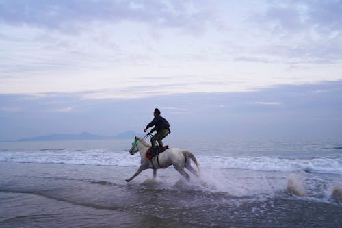 Man Horseback Riding on the Seashore 