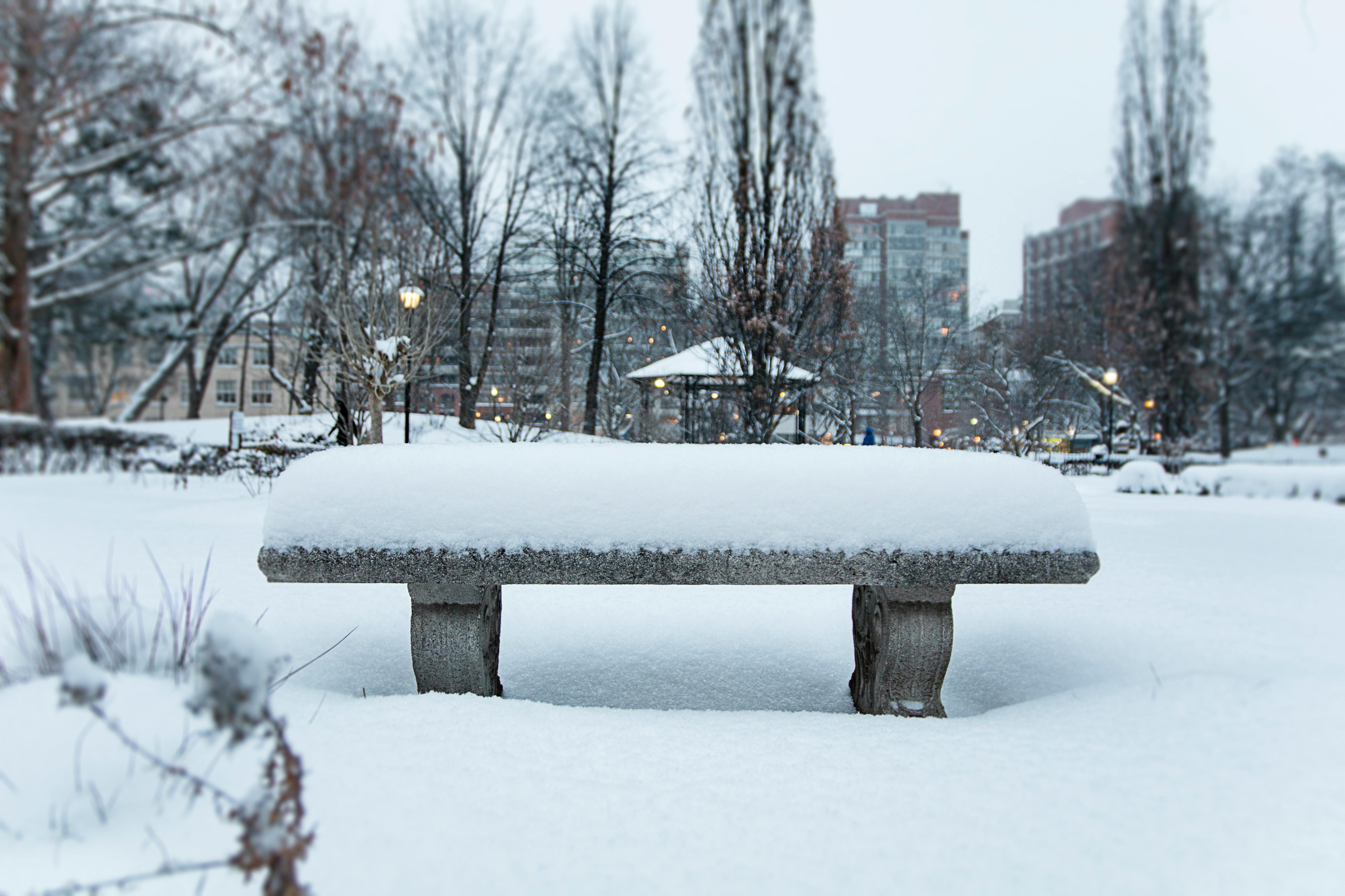 Free stock photo of bench, canada, Downtown toronto