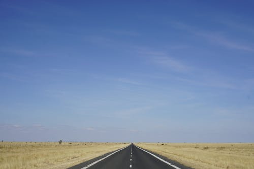 Road Into Horizon