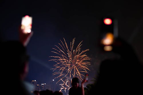 Fireworks against Dark Sky during a Celebration in City 