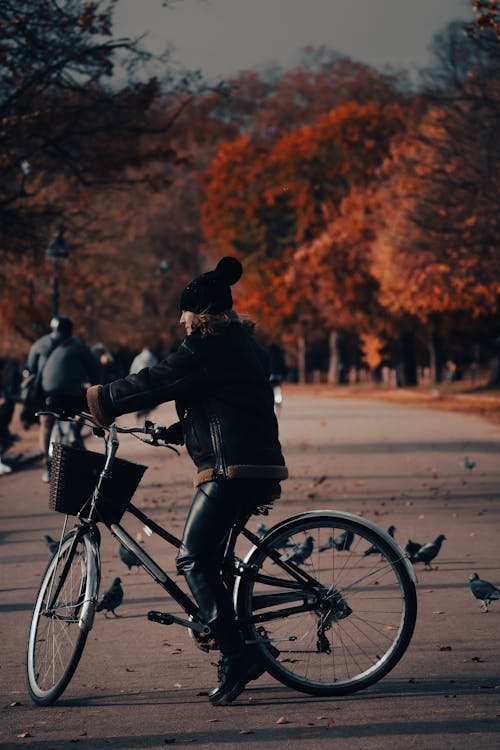 Gratis lagerfoto af cykel, cykling, duer