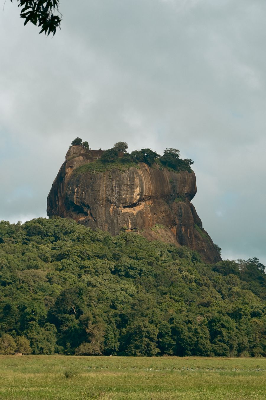 Pidurangala Rock: The Insider Alternative