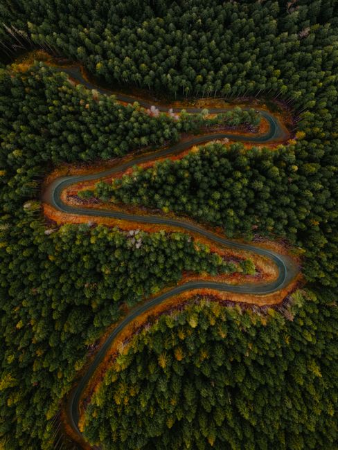 A captivating aerial view of a winding road through lush forest, showcasing nature's beauty.