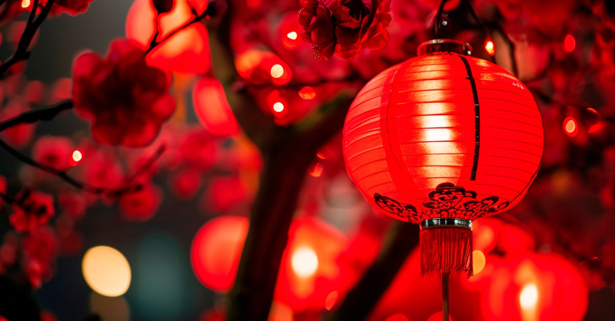 國防:世博TW館回「嘉」 臺灣燈會復刻登場