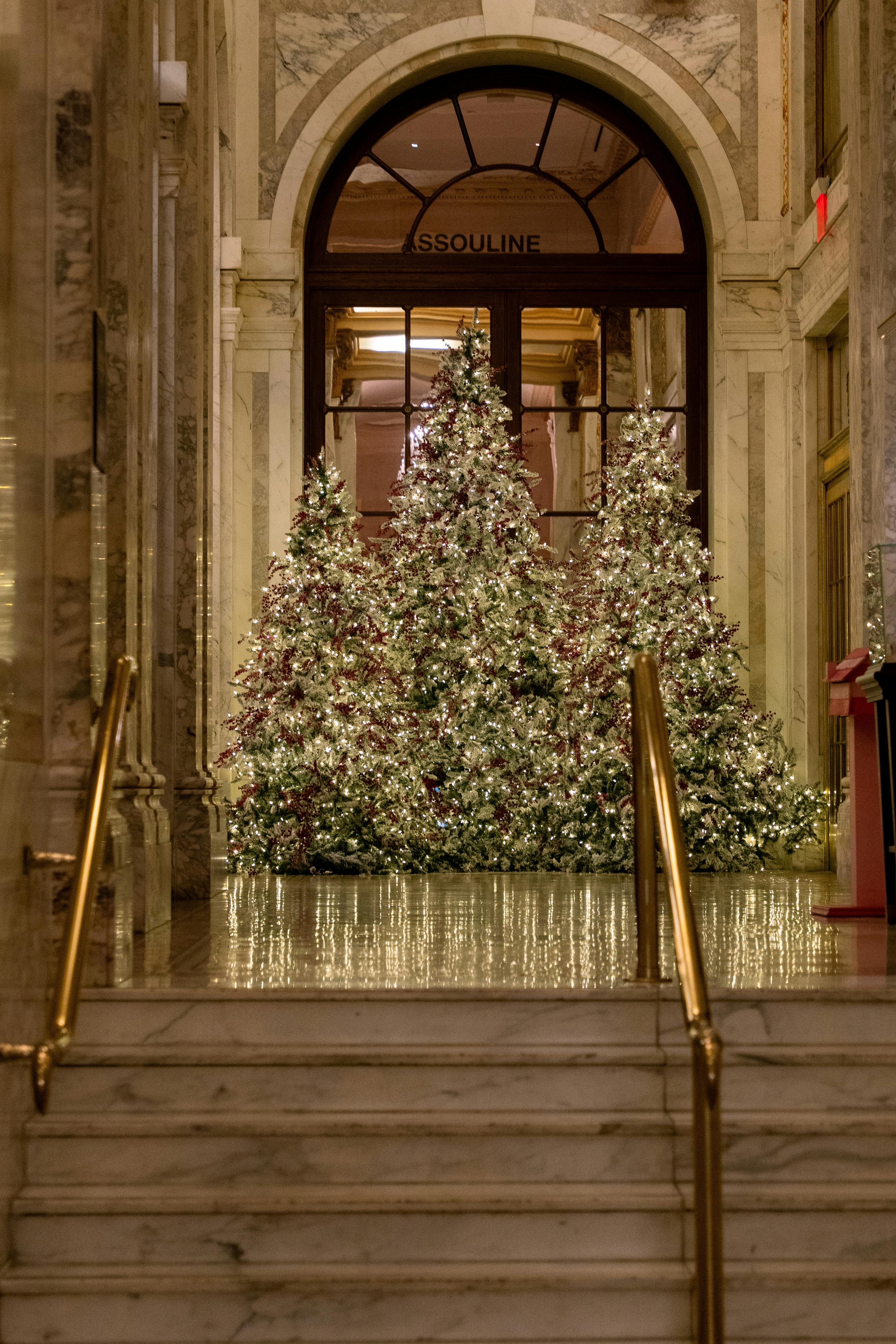 Chrstmas Photos, Download The BEST Free Chrstmas Stock Photos & HD Images