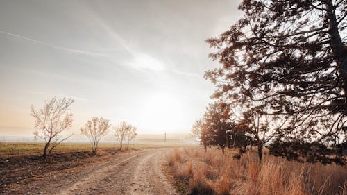 Dirt Road Bend on Plain Landscape