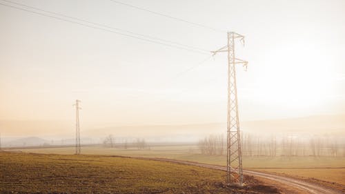 Electricity Poles on a Field in Sunlight 