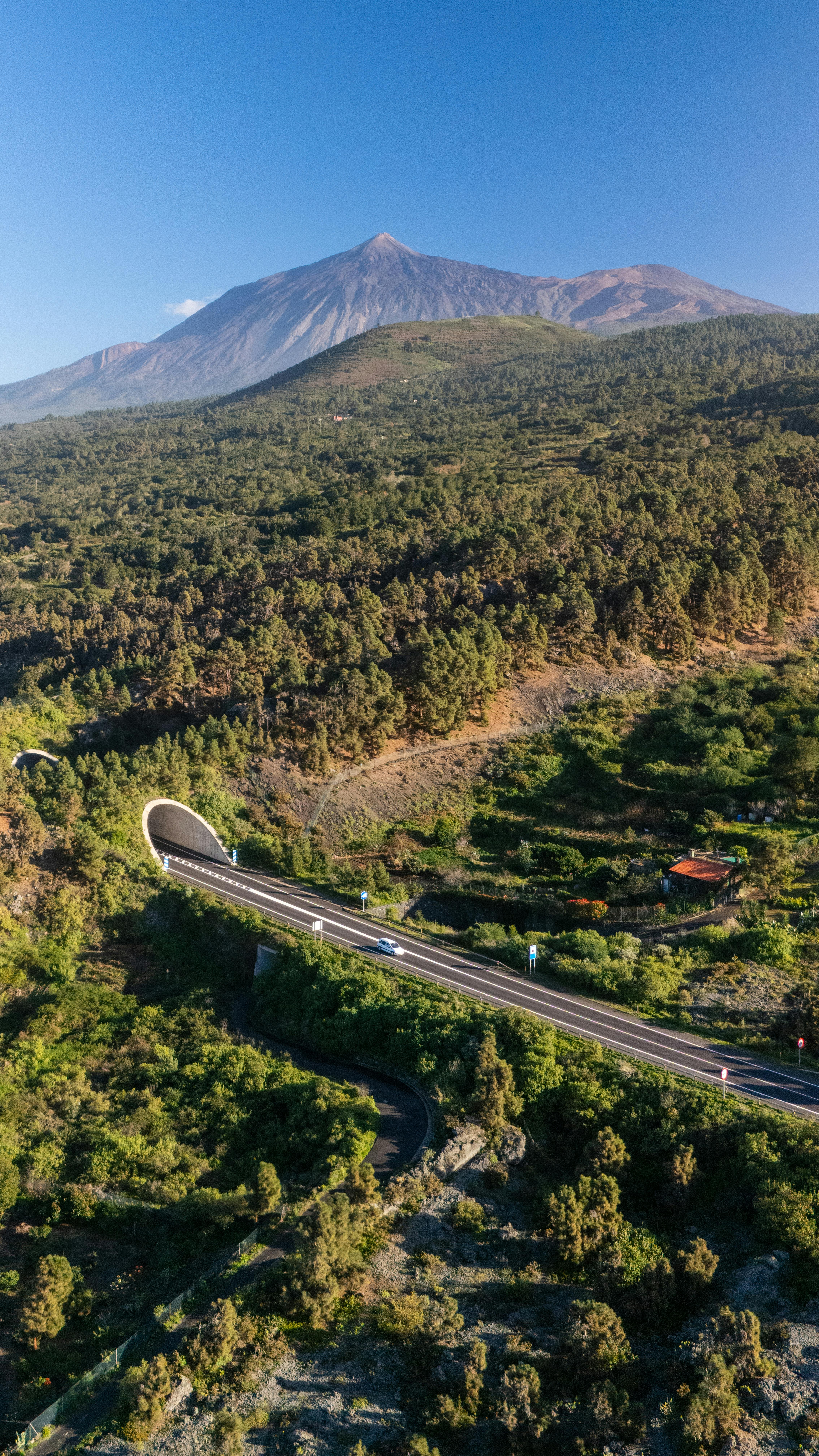 road and forest behind