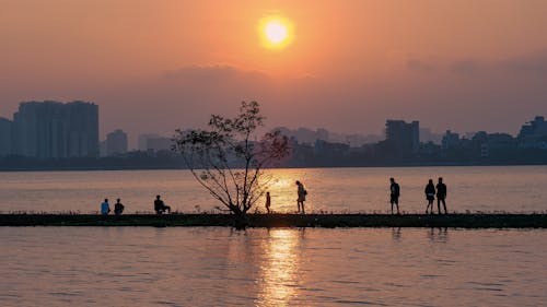 Silhouette of People by the Lake During Sunset 