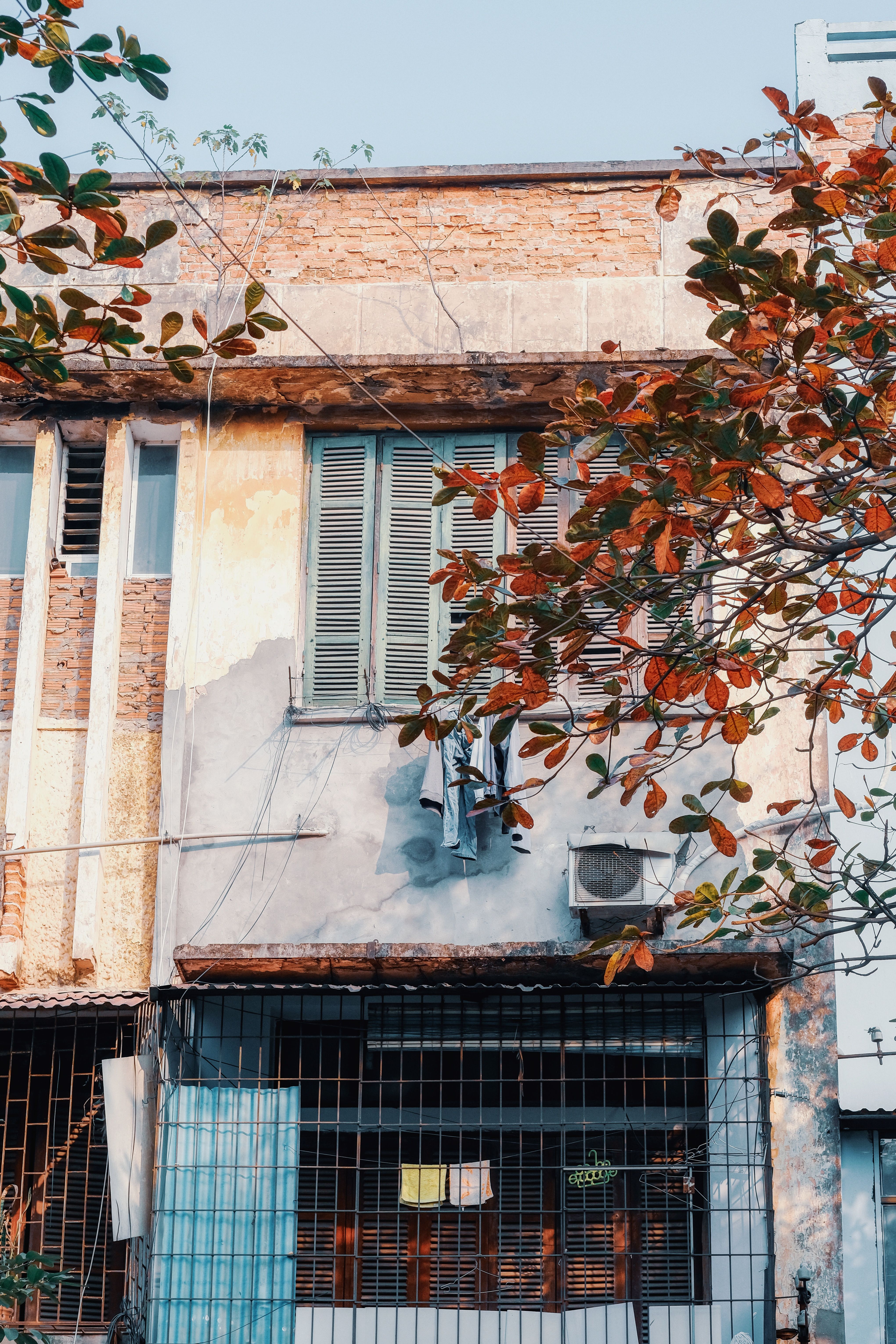 Tree with Red Leaves in Front of a Building · Free Stock Photo