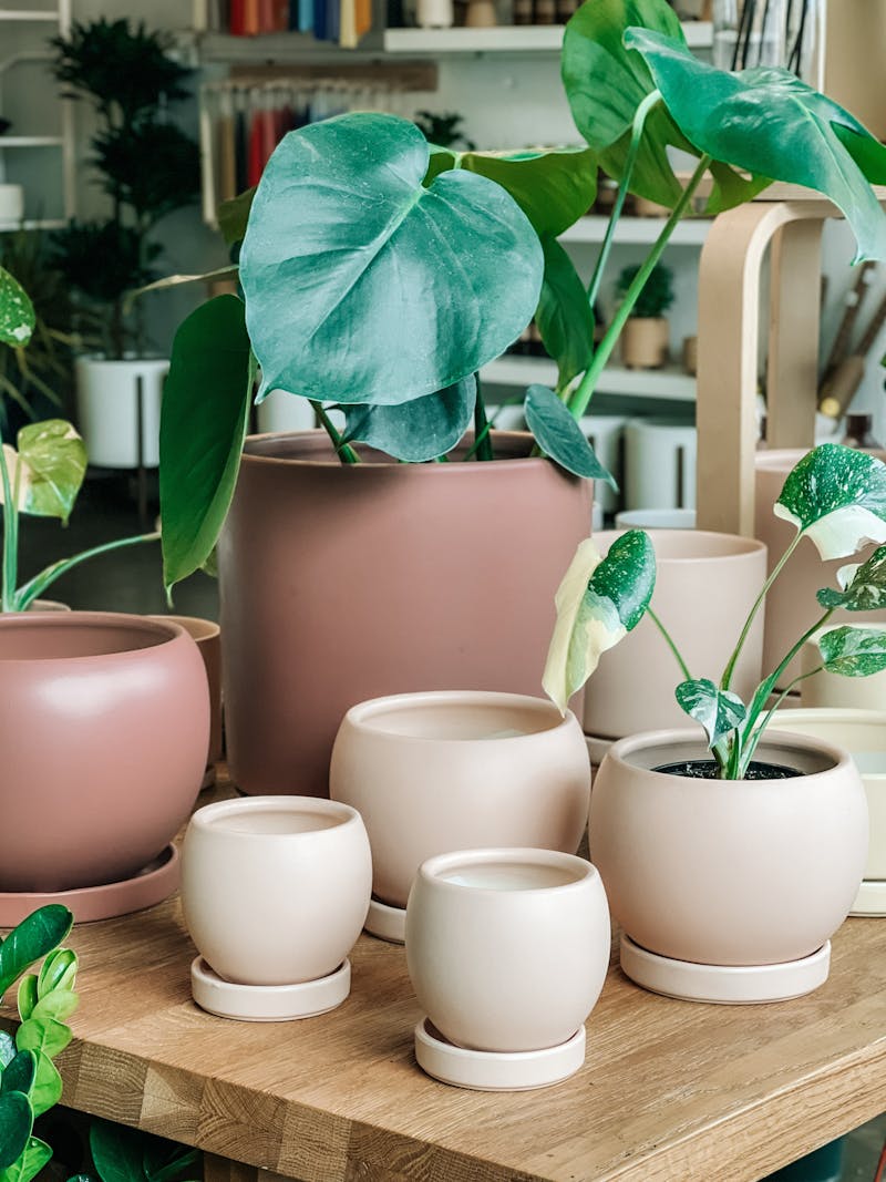 Serenity Living Room