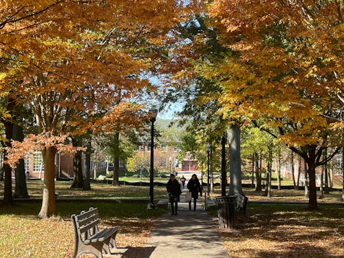 オレンジ色の葉, 大学キャンパス, 大学生の無料の写真素材