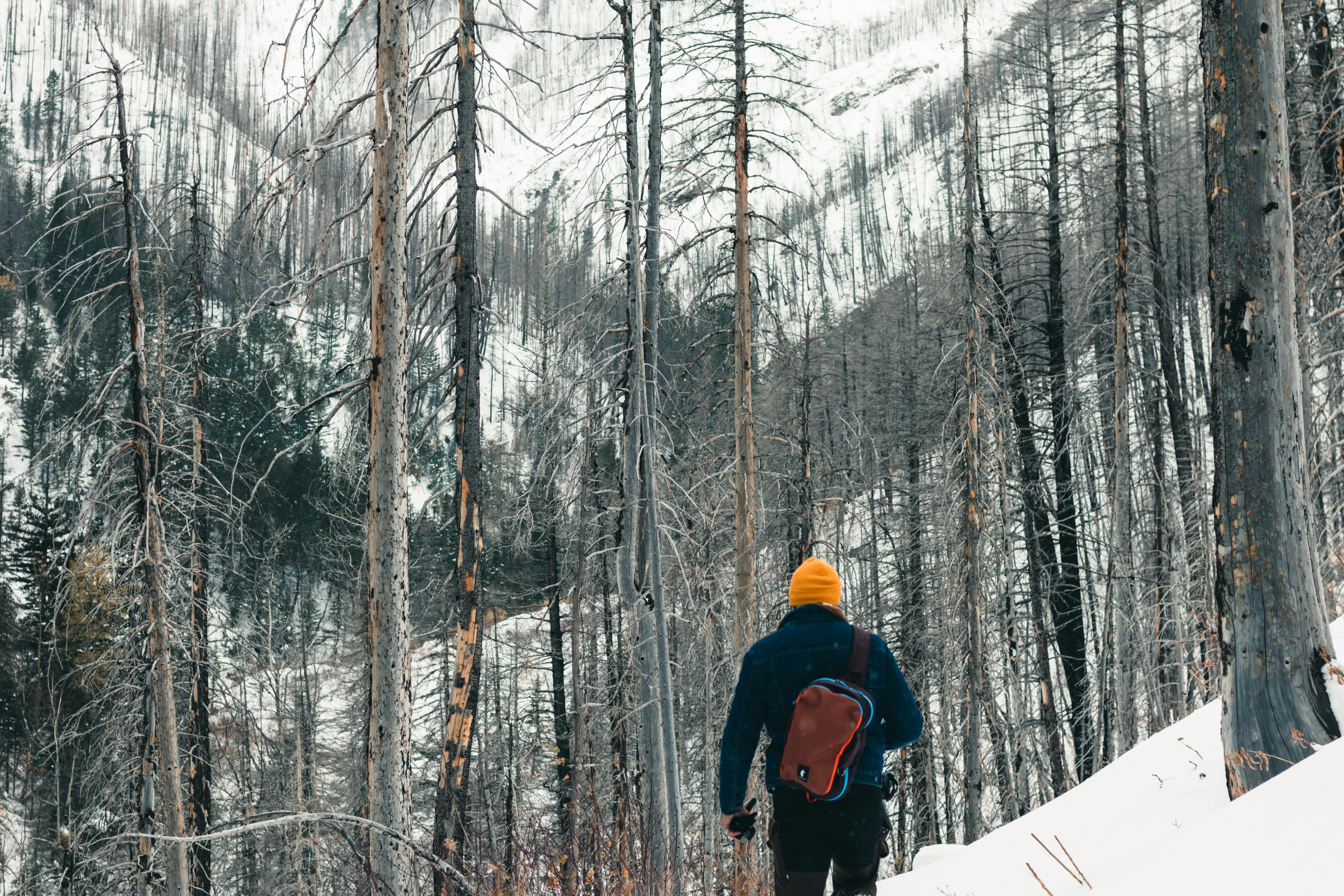 gear reviews gear review sites — Photo by Ali Kazal on Pexels