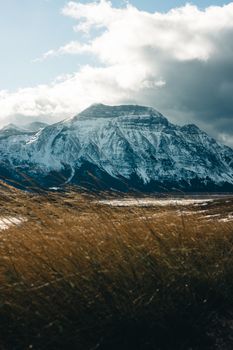 Scenic view of snowcapped mountain in Waterton Park, Alberta, showcasing natural beauty and rugged landscapes.