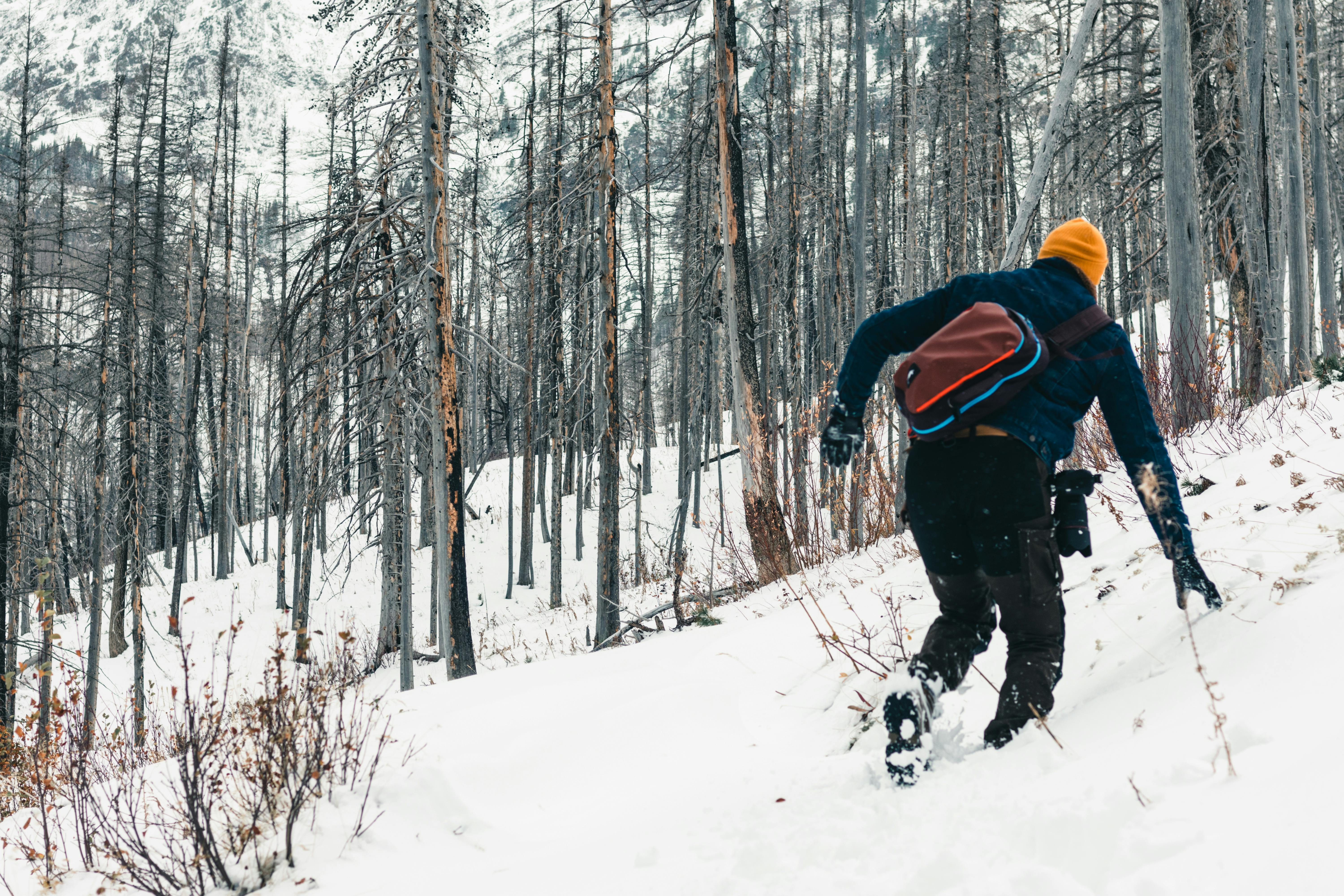 gear reviews gear review sites — Photo by Ali Kazal on Pexels