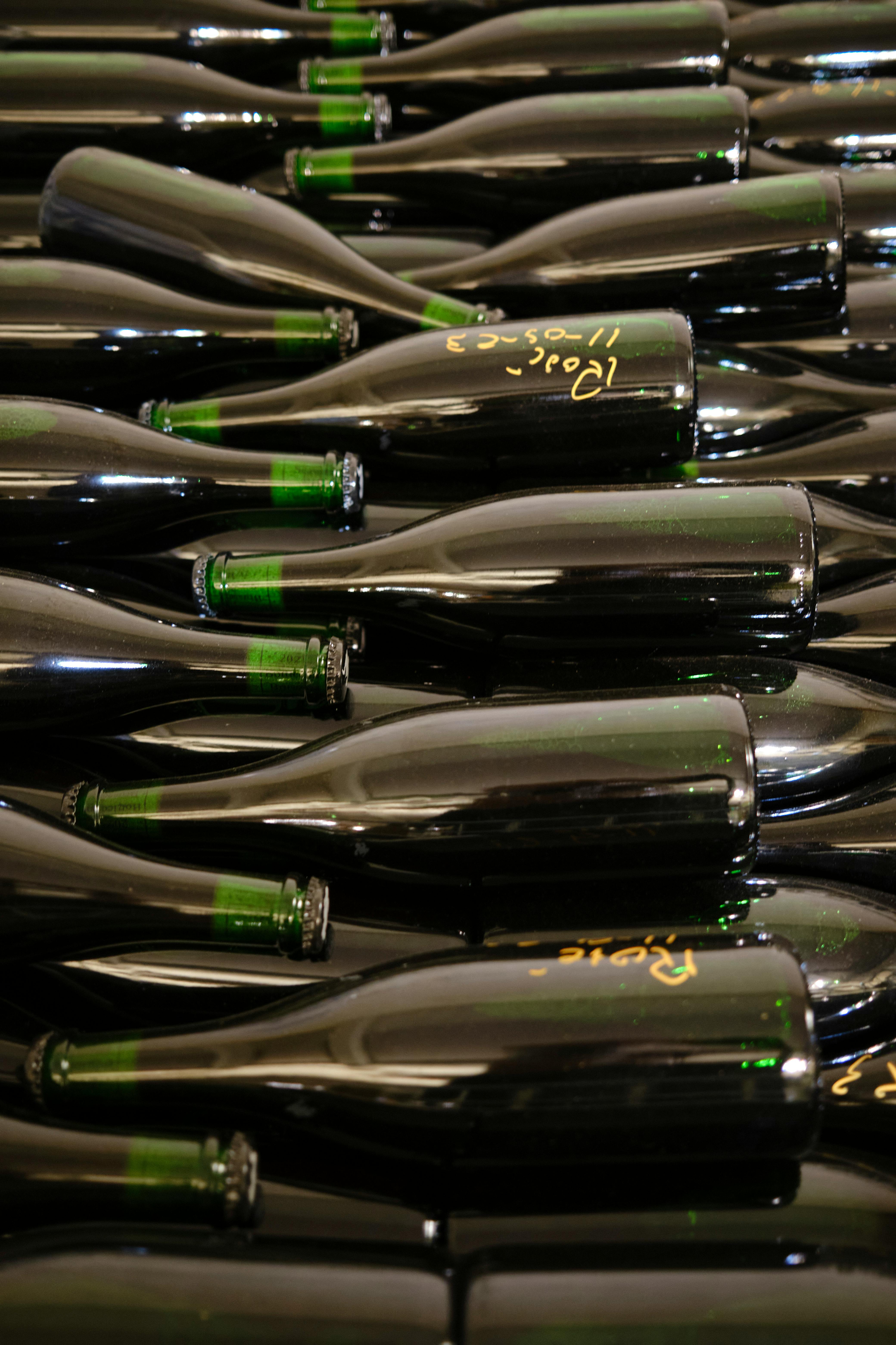 노화 과정 인포그래픽