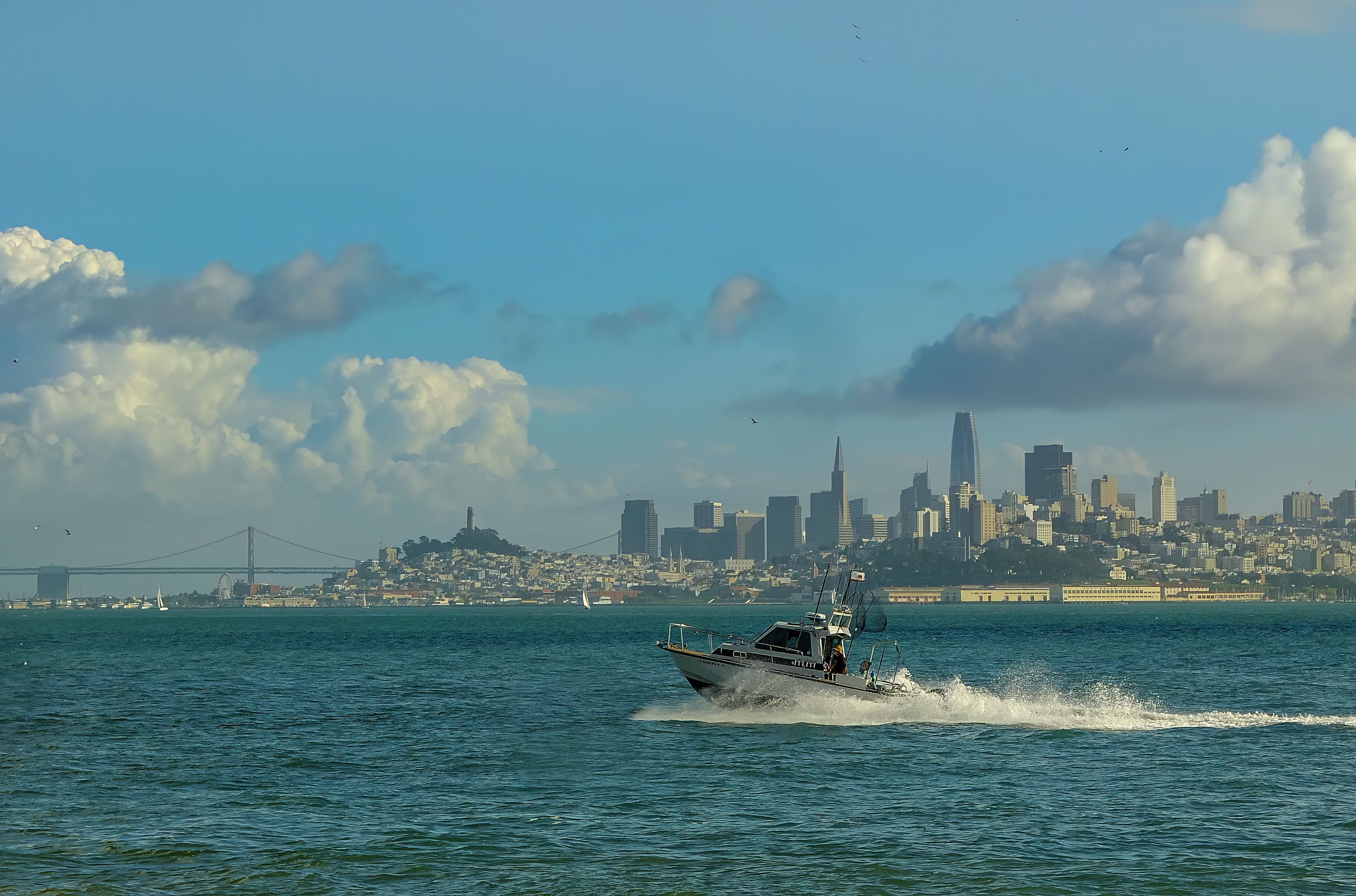 Motorboat Speeding Along San Francisco Bay · Free Stock Photo