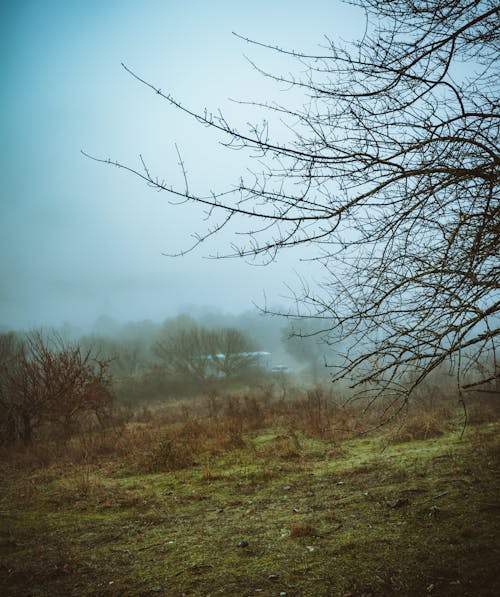 Immagine gratuita di campagna, coperto, nebbia