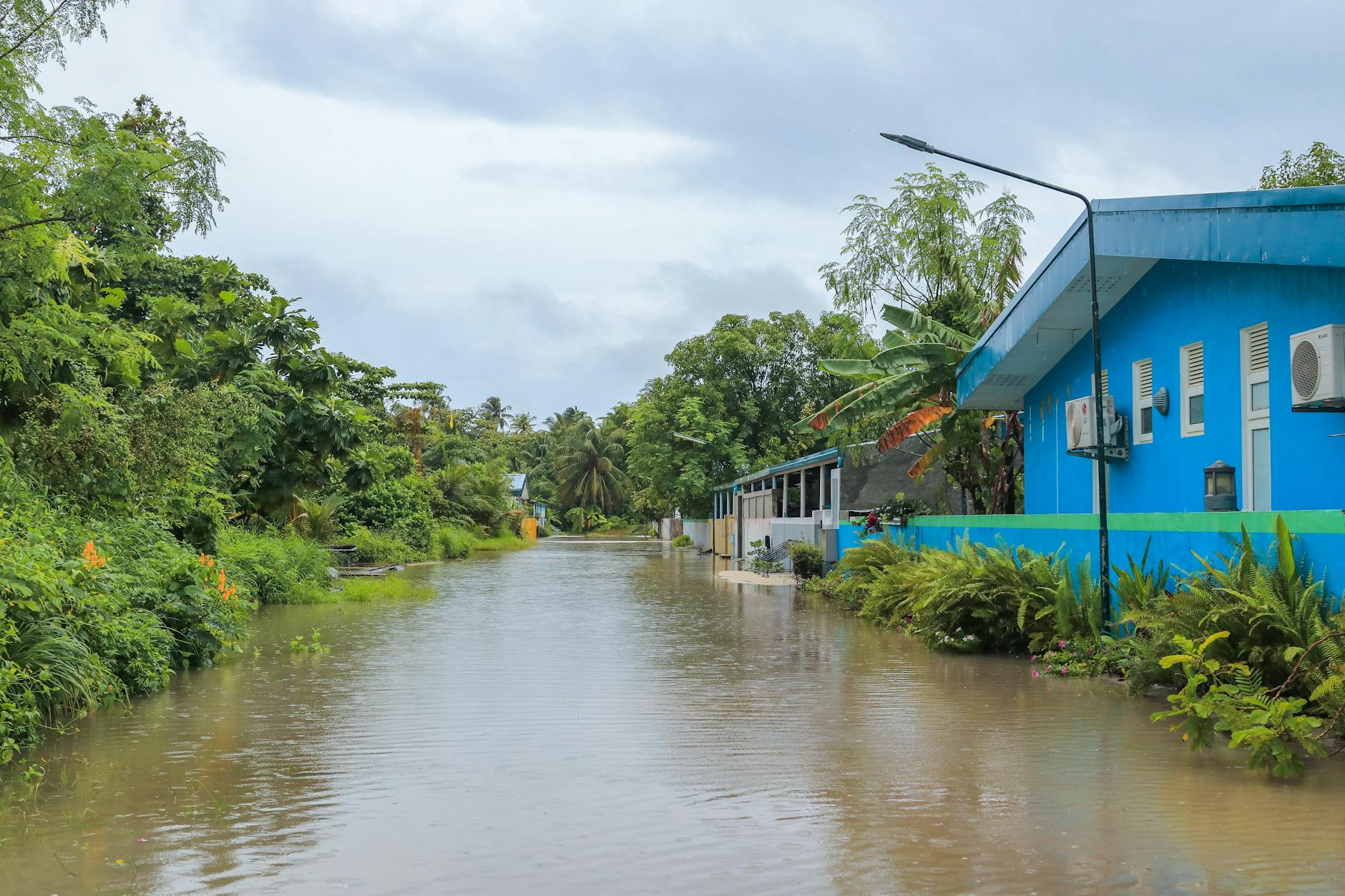 horoscopes christine haas