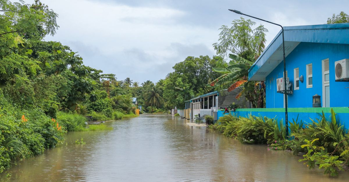Global Weather Shifts 2024: Heatwaves, Floods and Policy Impact