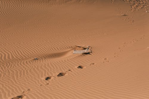 Foto d'estoc gratuïta de desert, diari, duna