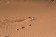 Desert scene with footprints leading by a newspaper on sand dunes.