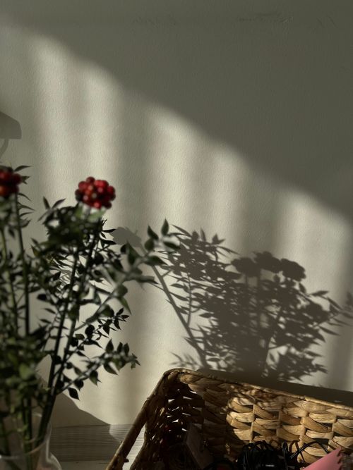 Free Warm interior scene with plant shadows on wall and a woven basket, evoking a cozy atmosphere. Stock Photo
