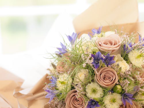 Immagine gratuita di avvicinamento, bouquet, celebrazione