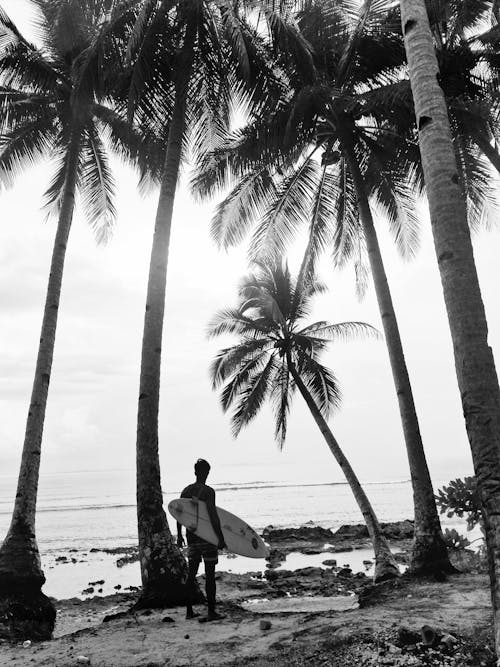 Surfer Standing Among Palm Trees Looking at the Sea