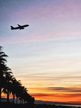 Silhouette of an airplane flying above palm trees during a beautiful sunset.