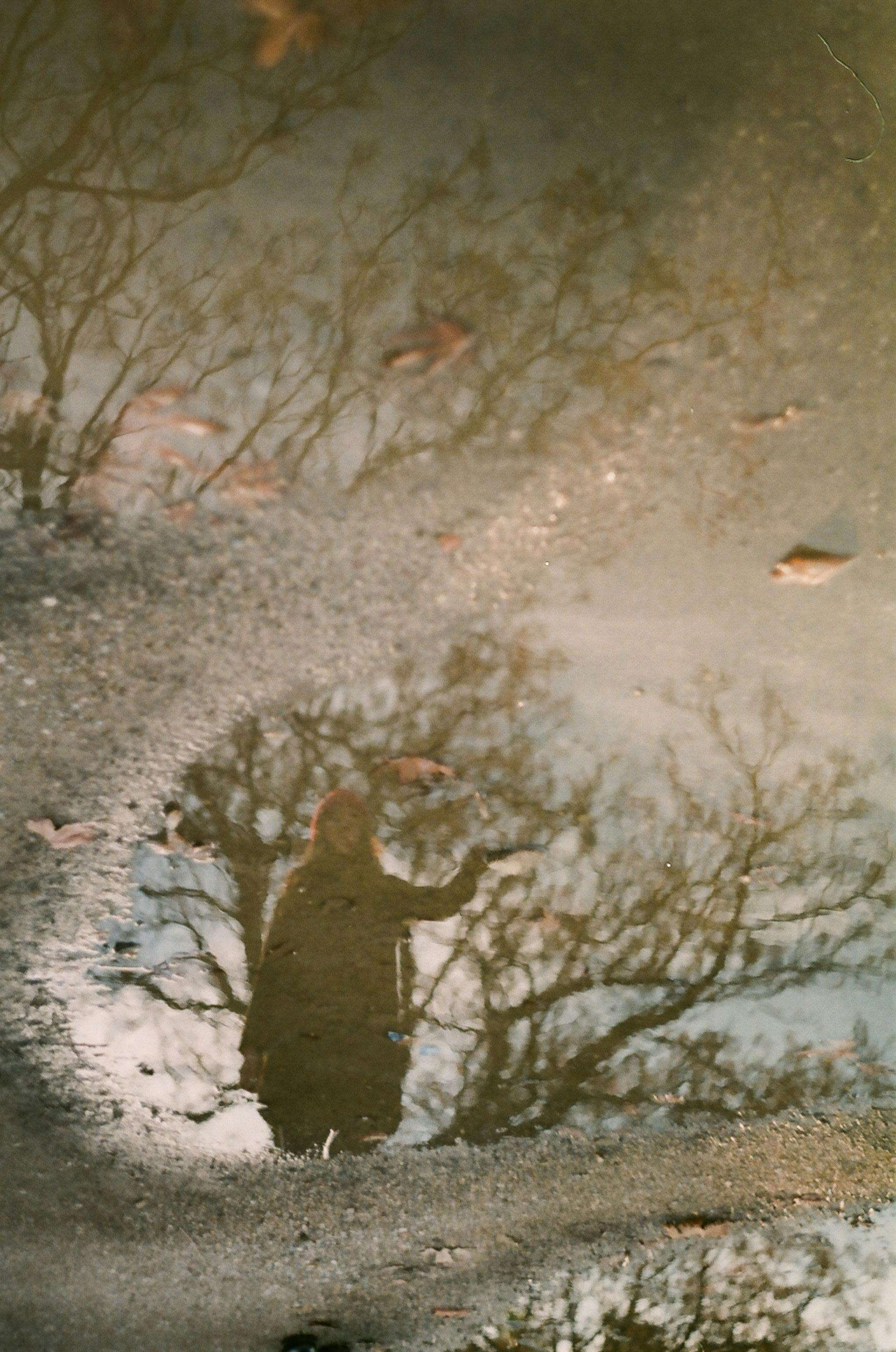 a woman reflected in a puddle