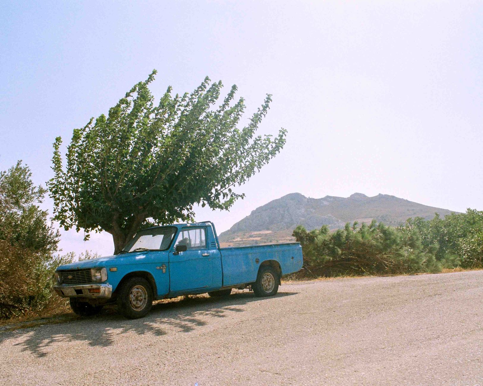 A classic blue pickup truck parked under a tree with mountains in the background in Greece.