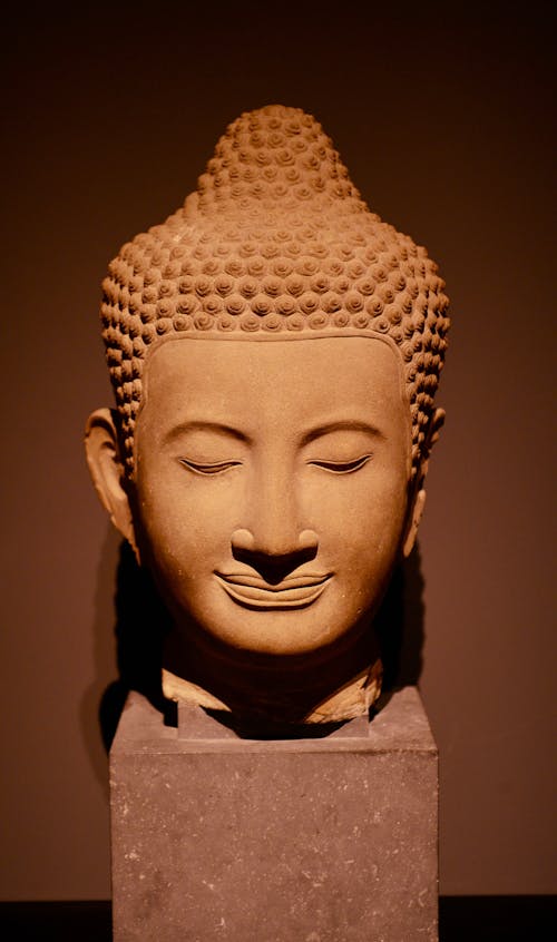 Buddha Head on Display in a Museum 