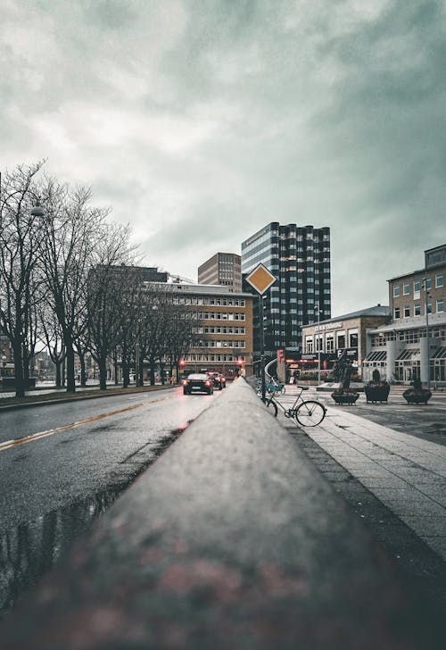 Gratis stockfoto met asfalt, bewolkt, bomen